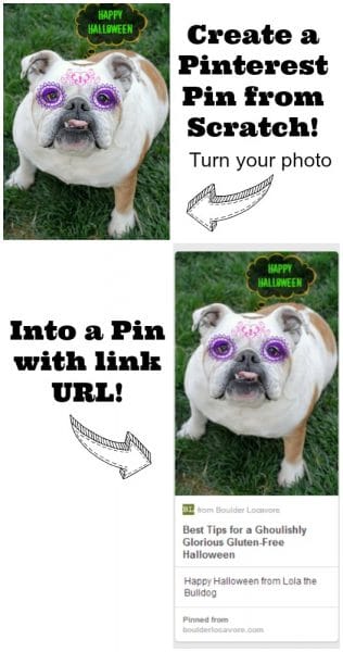 Create a Pinterest Pin with URL link from your photo 