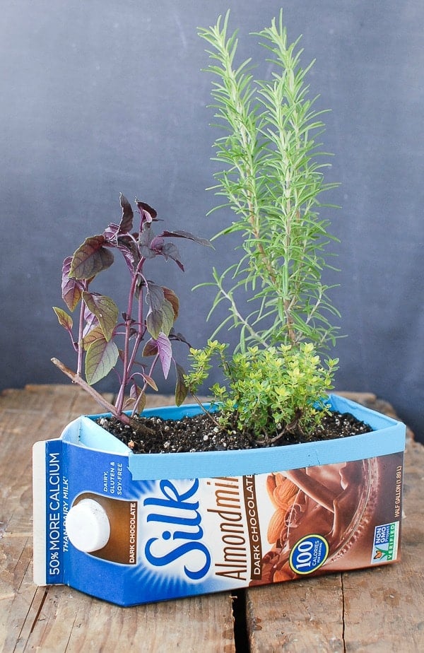 Milk Carton Herb Gardens 