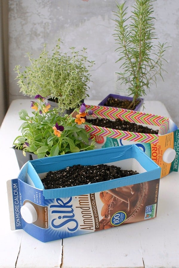 Milk Carton Herb Gardens - making planting