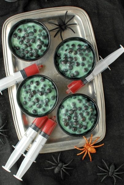 Spider Pudding Creepy Spider Egg Pudding