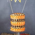 Whimsical Fall M&M Cake - BoulderLocavore.com