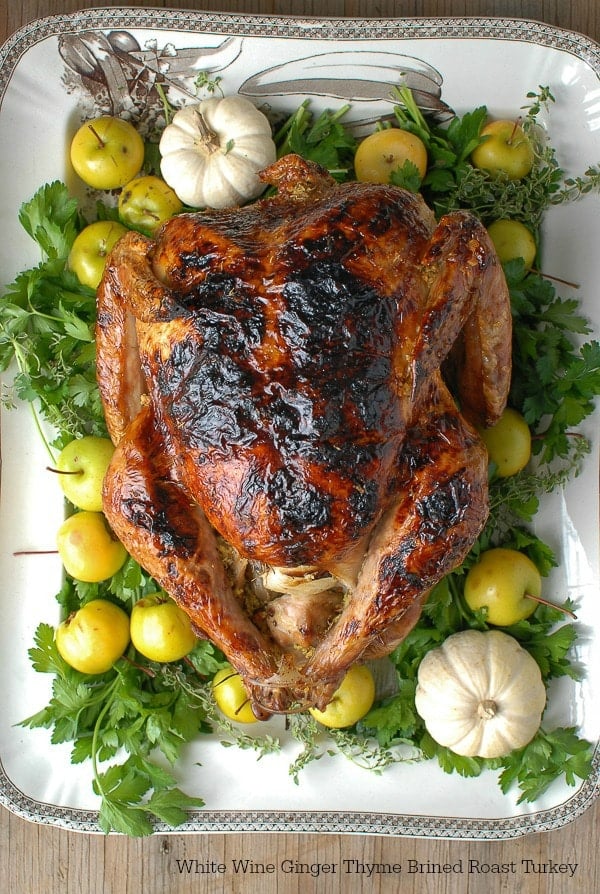 Brown Bag Roast Turkey - Kudos Kitchen by Renee