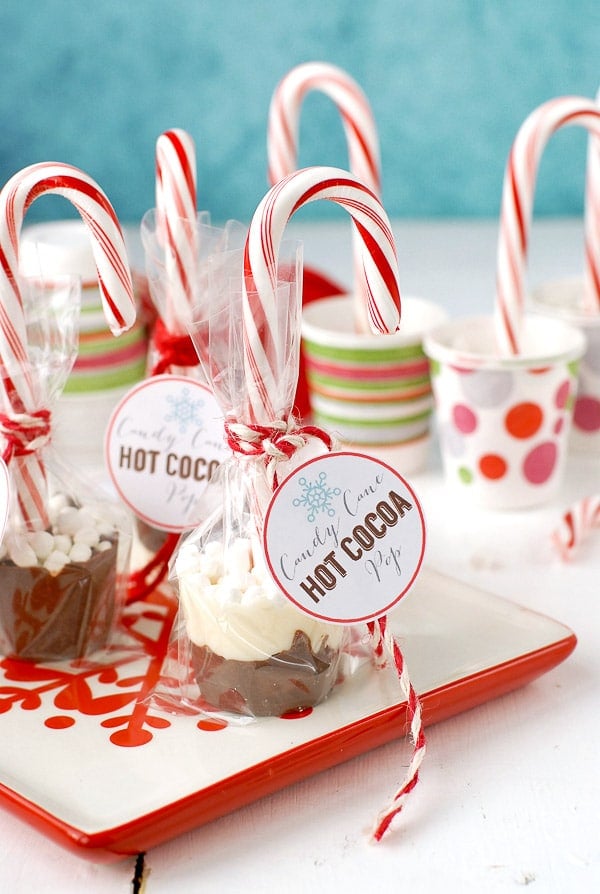 https://boulderlocavore.com/wp-content/uploads/2014/12/Candy-Cane-Hot-Cocoa-Pops-BoulderLocavore.com-205ps.jpg