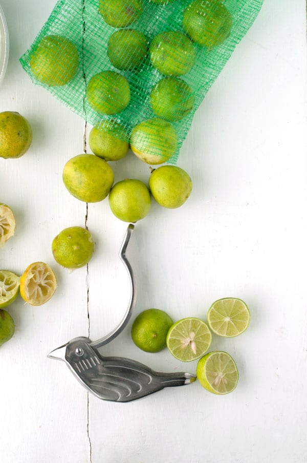 bag of key limes and a bird-shaped citrus squeezer