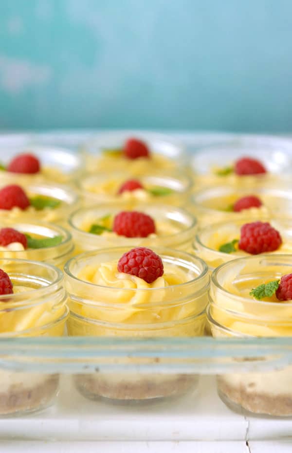 batch of Mini Mascarpone Key Lime Curd Cheesecakes in Jars close up