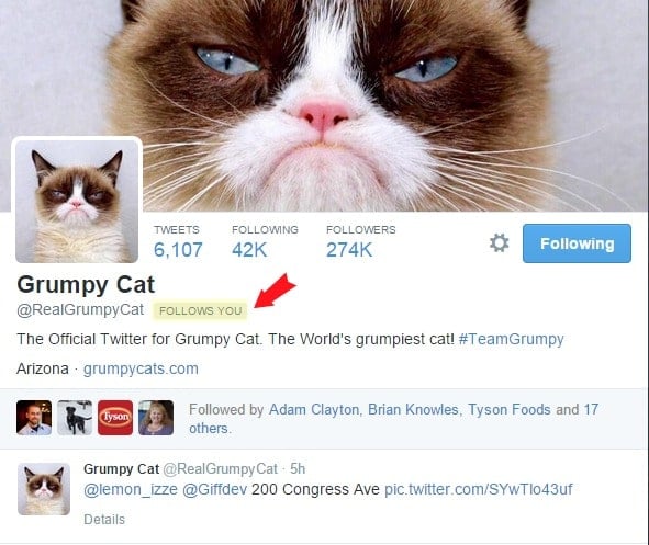 grumpy cat youre welcome