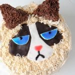 a Grumpy Cat Cake