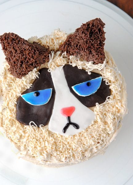 How to Make a Grumpy Cat Cake