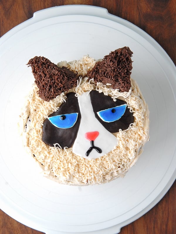 a Grumpy Cat Cake 