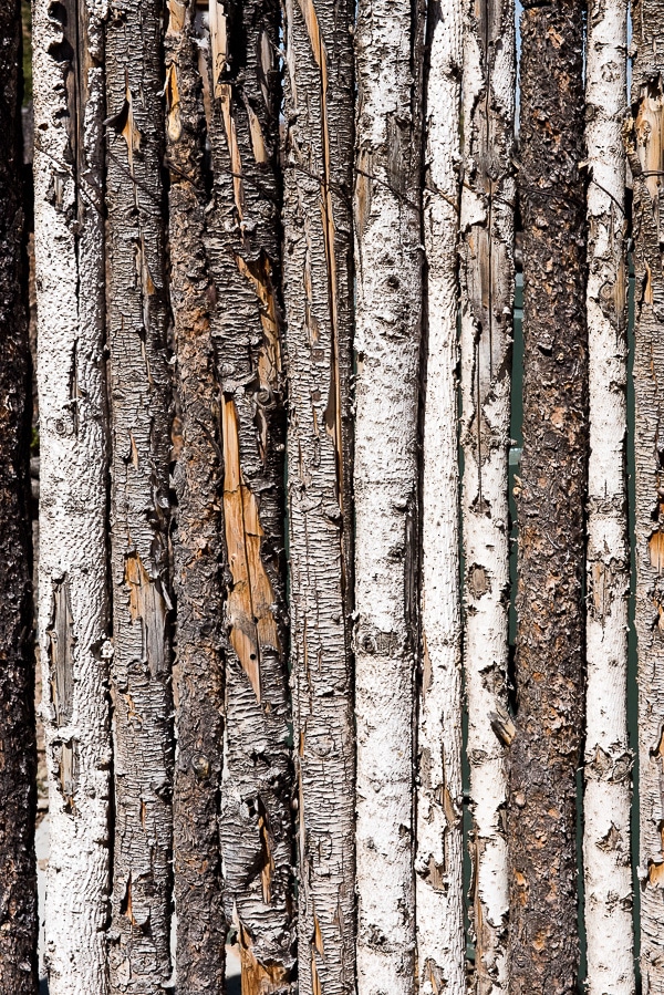 Casita fence at Four Seasons Rancho Encantado 