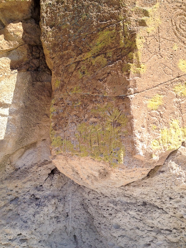 etroglyphs Tsankawi Trail Bandelier Santa Fe 