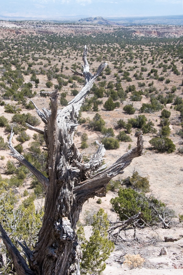 Tsankawi Bandelier National Monument 