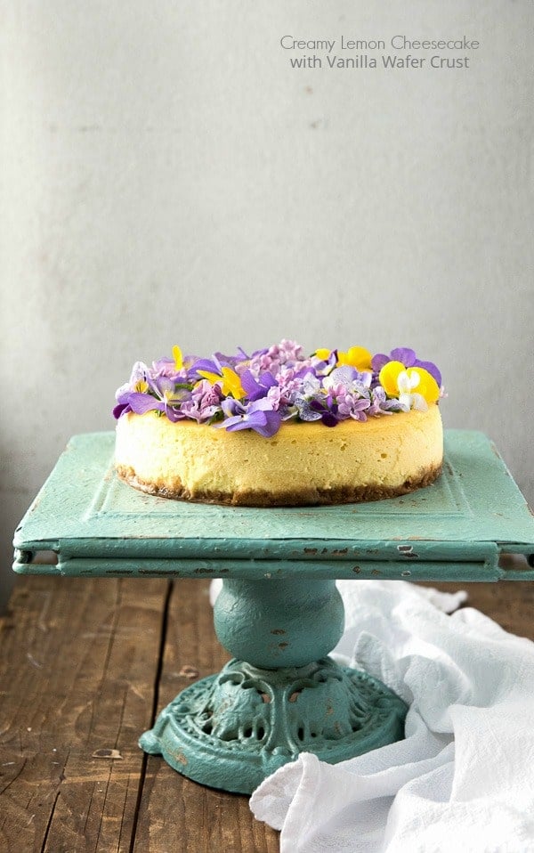 Creamy Lemon Cheesecake with Vanilla Wafer Crust and Edible Flowers