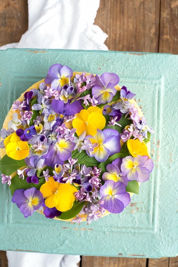 Creamy Lemon Cheesecake with Vanilla Wafer Crust and Edible Flowers 