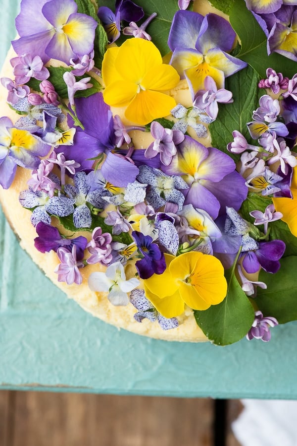 purple and yellow flowers on cheesecake