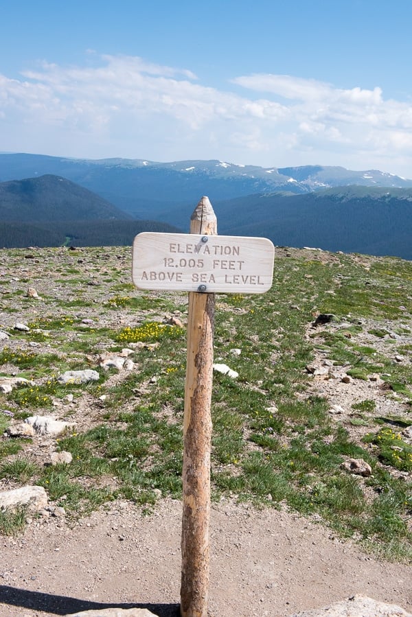 Trail Ridge Road Look out - Rocky Mtn Natl Park 