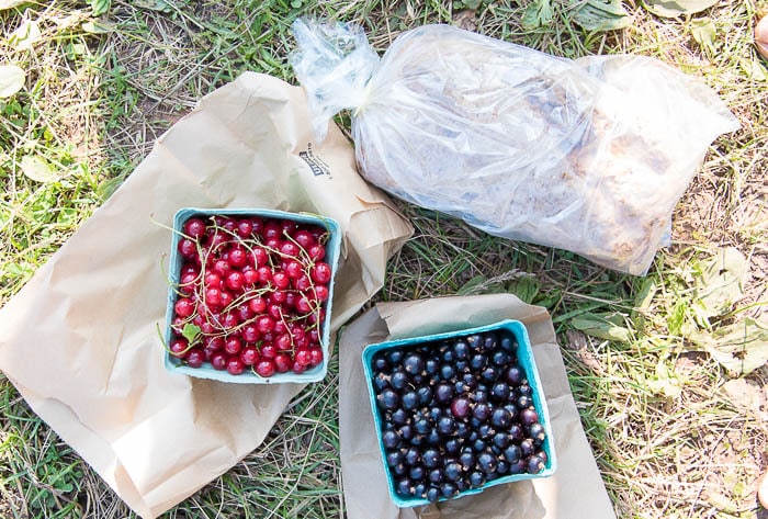 Charlottetown Farmer\'s Market, Prince Edward Island 