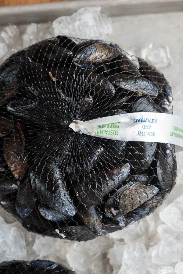 Net bagged Mussels from Prince Edward Island 