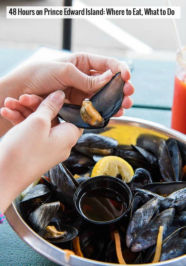 Prince Edward Island Mussels -