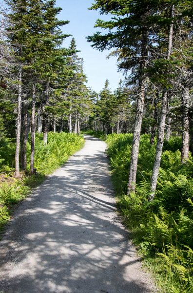 48 Hours on Cape Breton Island - Boulder Locavore