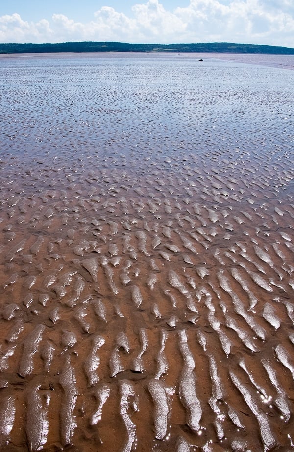 Caves and coastal features at low tide on the Bay of Fundy, near