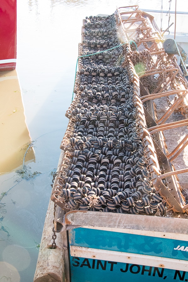 Bay of Fundy, equipment for scallop dragging