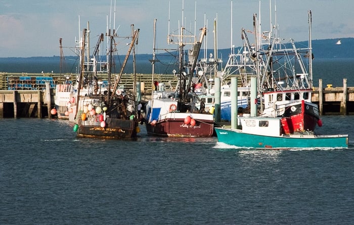 Nova Scotia, Digby, Scallop fleet 