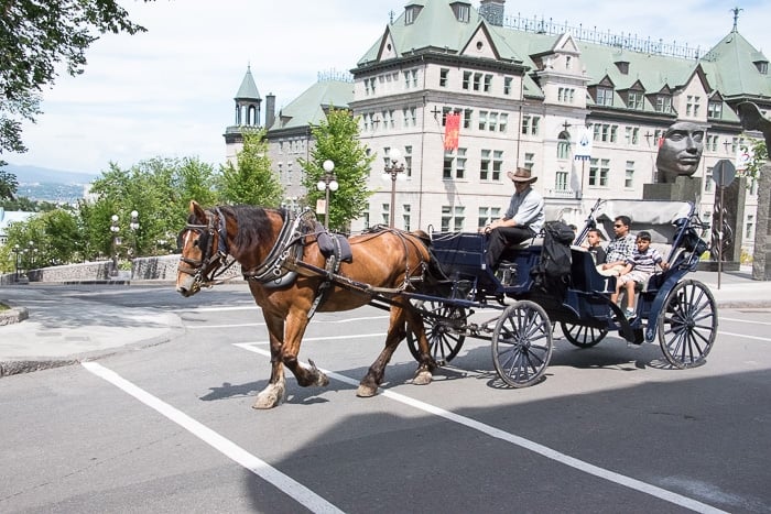 Quebec City, Upper City Horse Carriage Rides 