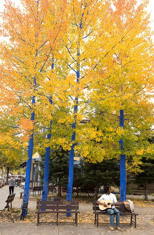 Blue Trees Downtwon Breckenridge CO in fall