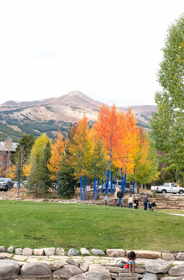 Breckenridge CO in fall