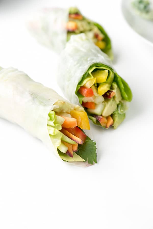 DIY Vietnamese Spring Rolls close up