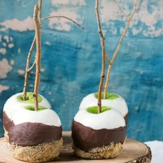 Double Dipped S'Mores Apples on a Stick