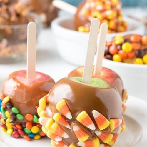 Candy Apple Sticks are used for caramel or candy apples and even corn dogs