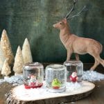 DIY How to Make Holiday Snow Globes
