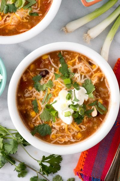 Slow Cooker Mexican Chicken and Rice Soup Recipe