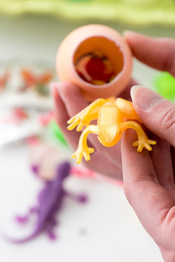 small plastic toy frog being added inside a cascarones confetti egg