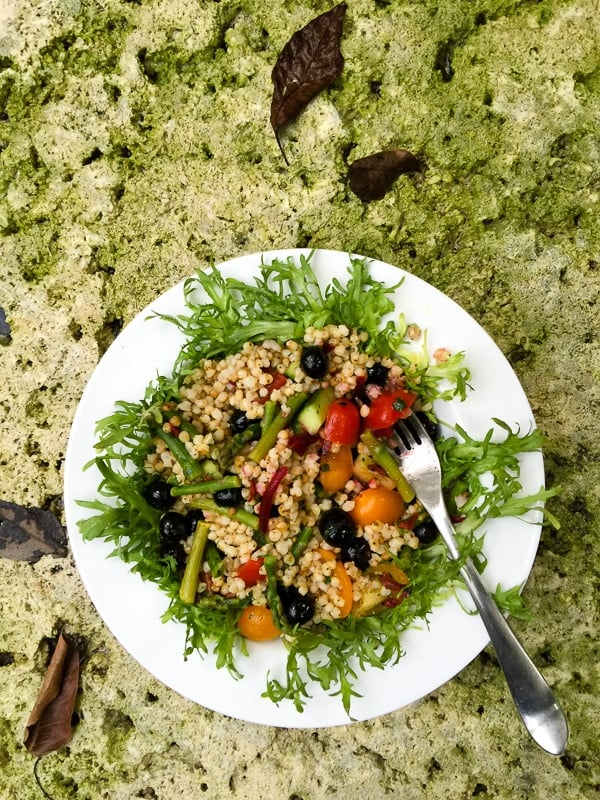 Sorghum Salad on mossy pool deck - Miami (close up)