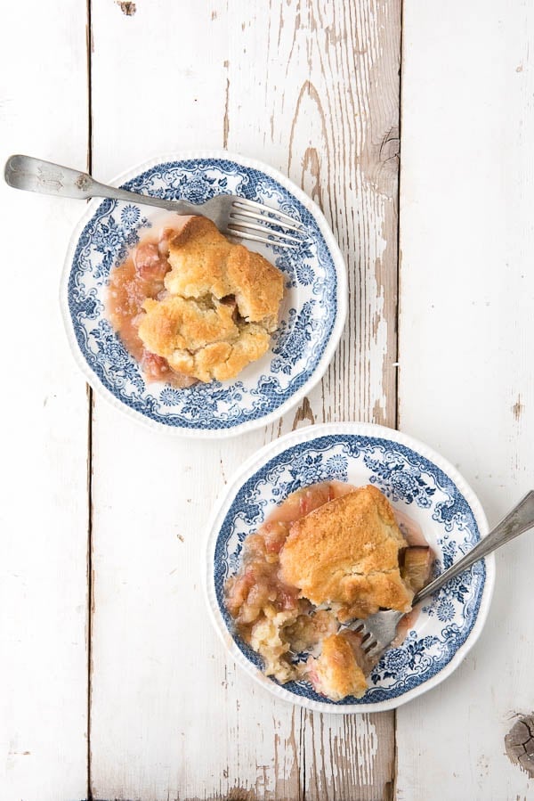 Two individual servings of Rhubarb Grunt on blue and white vintage dessert plates with forks