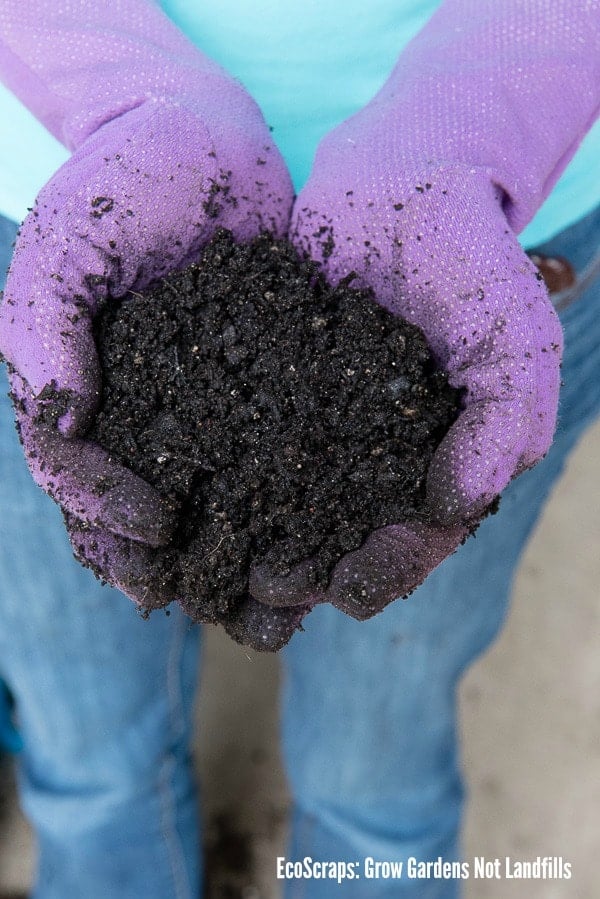 titled image gloved hands holding potting soil