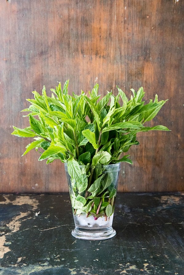 a clear vase filled with sprigs of fresh mint