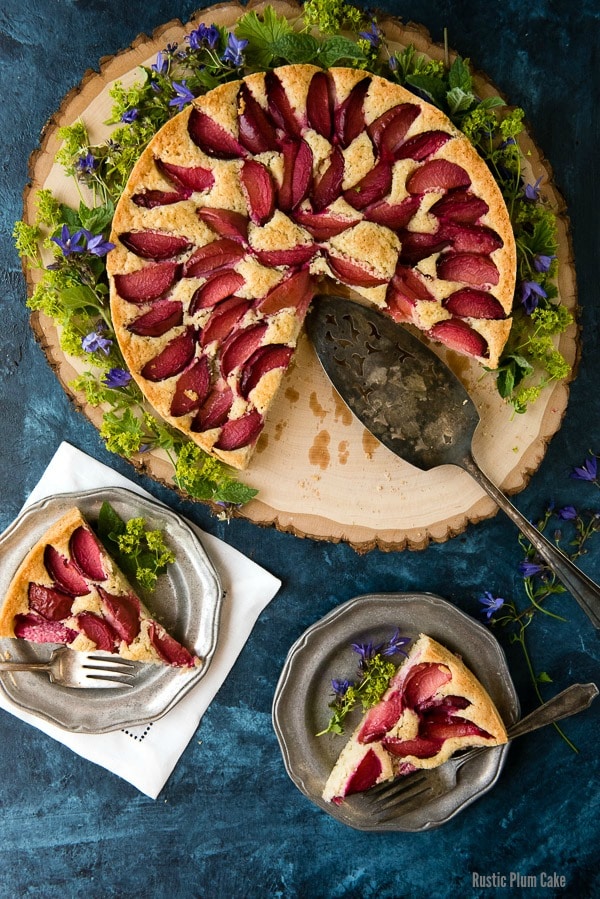Rustic Plum Cake Recipe Boulder Locavore Rustic Plum Cake Recipe Boulder Locavore