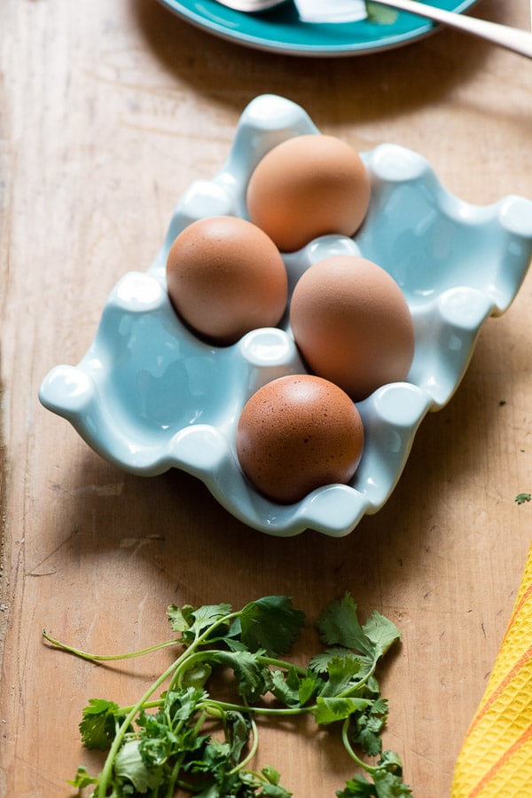 brown eggs in blue egg holder