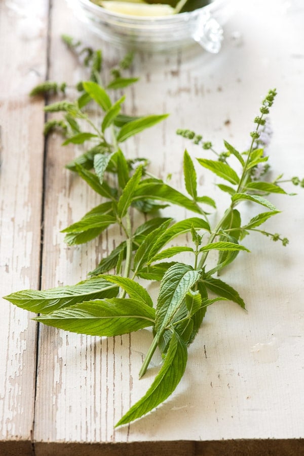 fresh mint on distressed wood surface