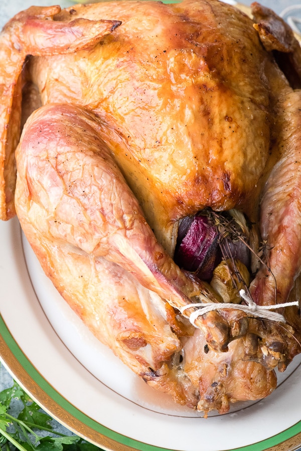 Roast turkey trussed on platter