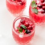 Sparkling Cranberry Vodka Punch