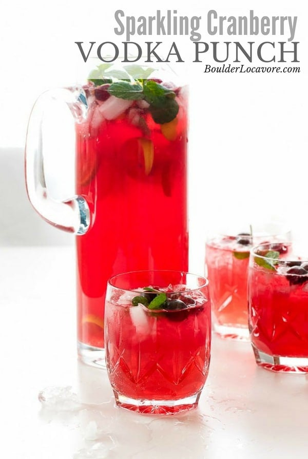 Sparkling Cranberry Punch Recipe