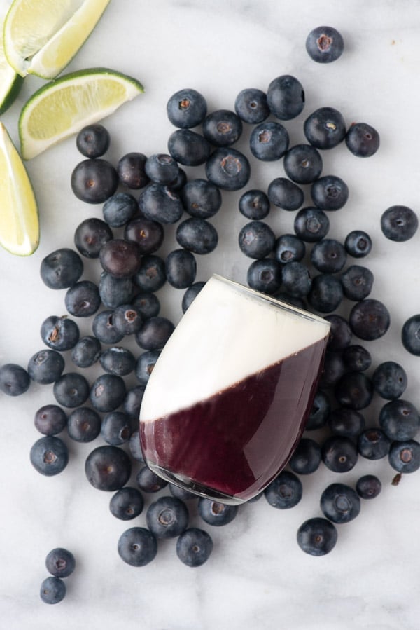 Blueberry Guava Panna Cotta - BoulderLocavore.com 