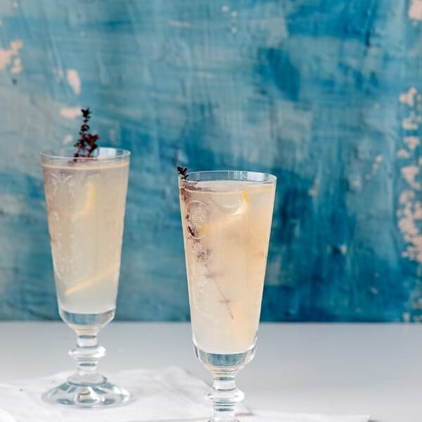 Refreshing Raspberry Chambord Gin Fizz Boulder Locavore