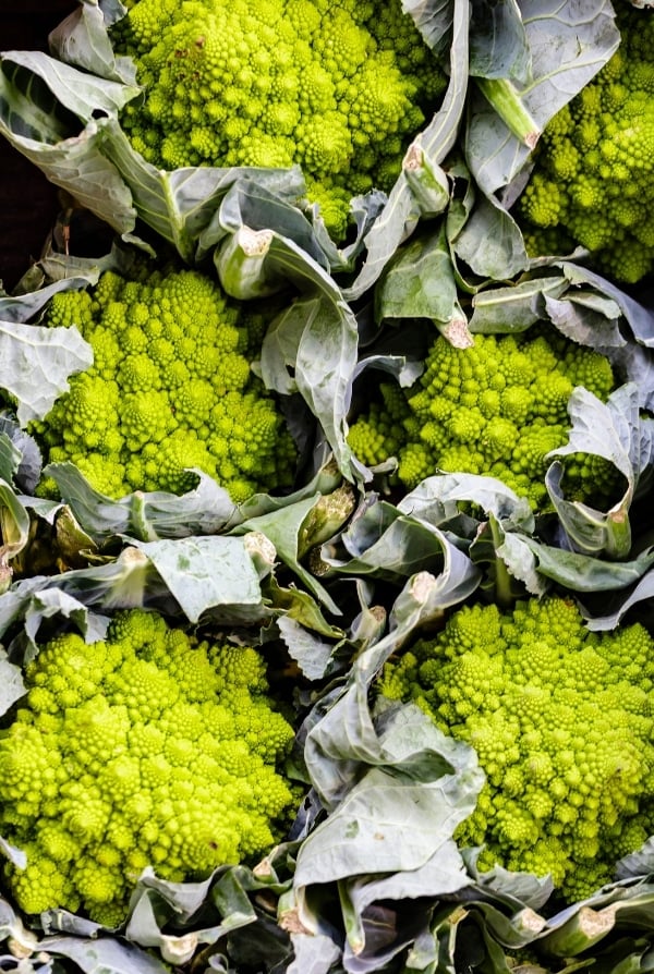 Heads of Romanesco