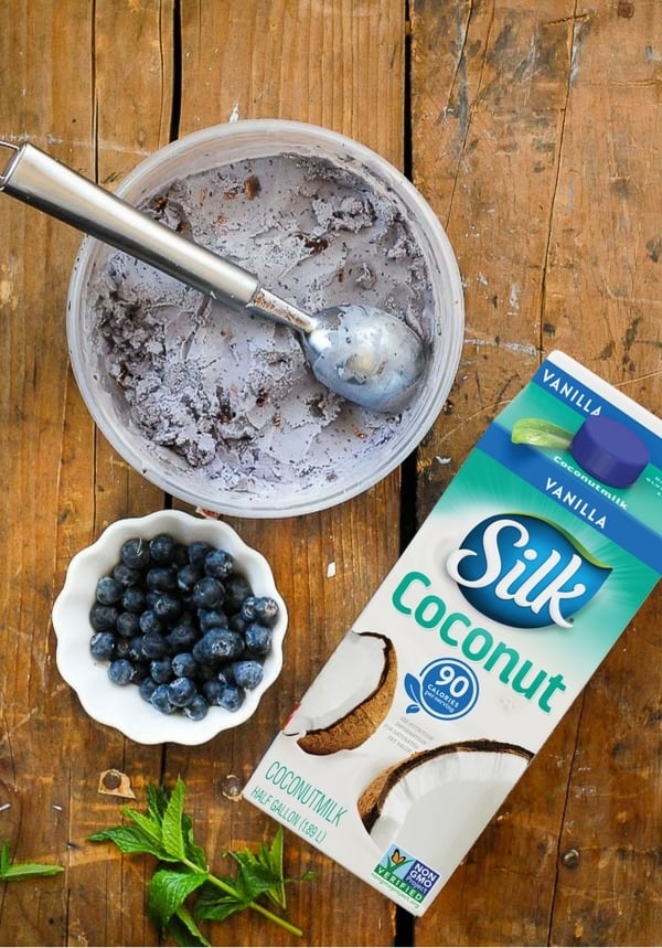 Blueberry Coconut Ice Cream with Dark Chocolate Bits (dairy-free) 